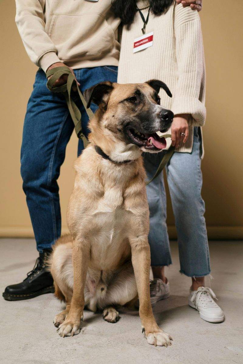 Die besten Tipps für glückliche Katzen